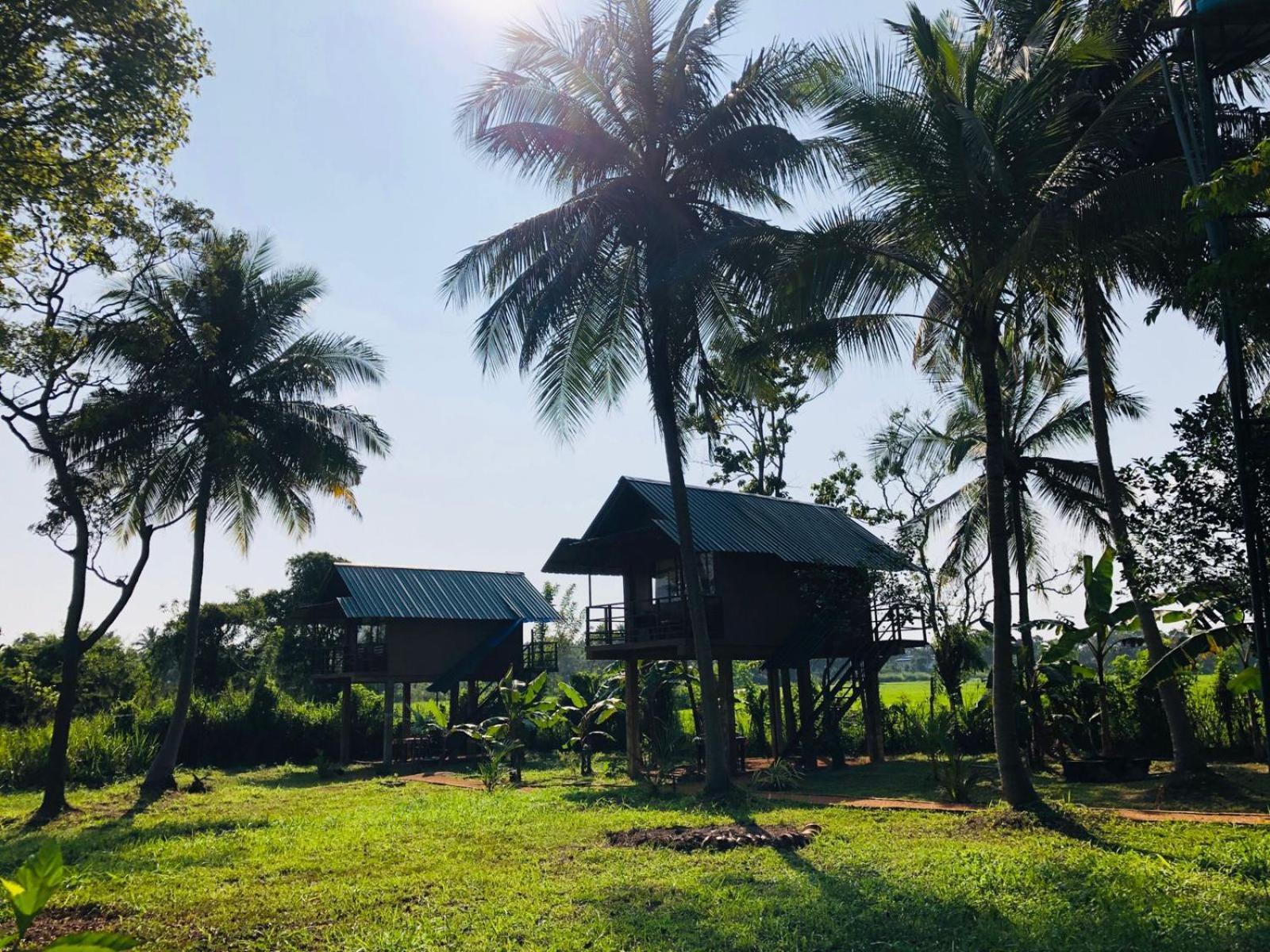 Sigiriya Paddy Field Hut 빌라 객실 사진
